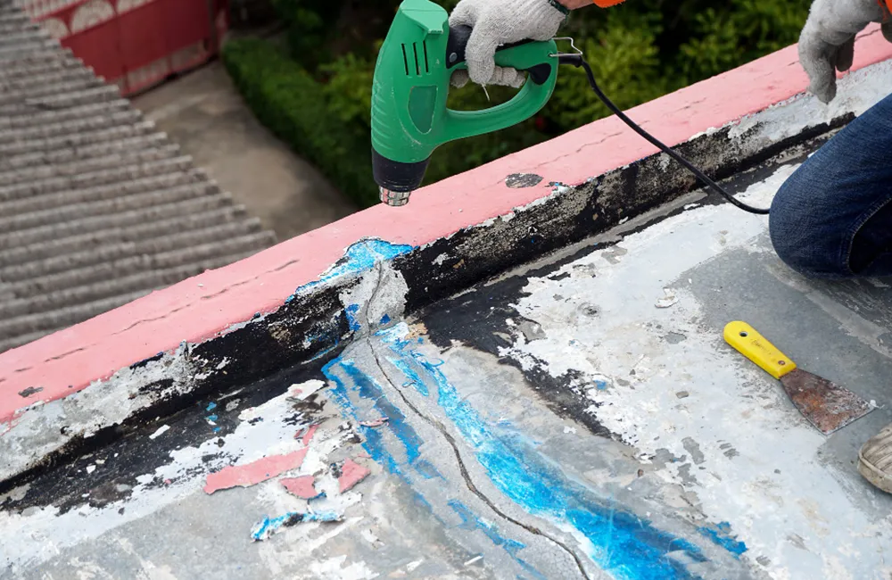 common roofing problems